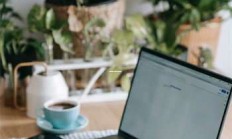 天涯长江论坛：畅谈长江文化的在线聚会