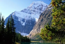 重庆天涯论坛征婚交友：你的姻缘在这里等你！