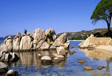 采耳加盟哪个好？天涯老哥推荐这些宝藏品牌！